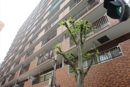 ルックハイツ金町　１３０２号室